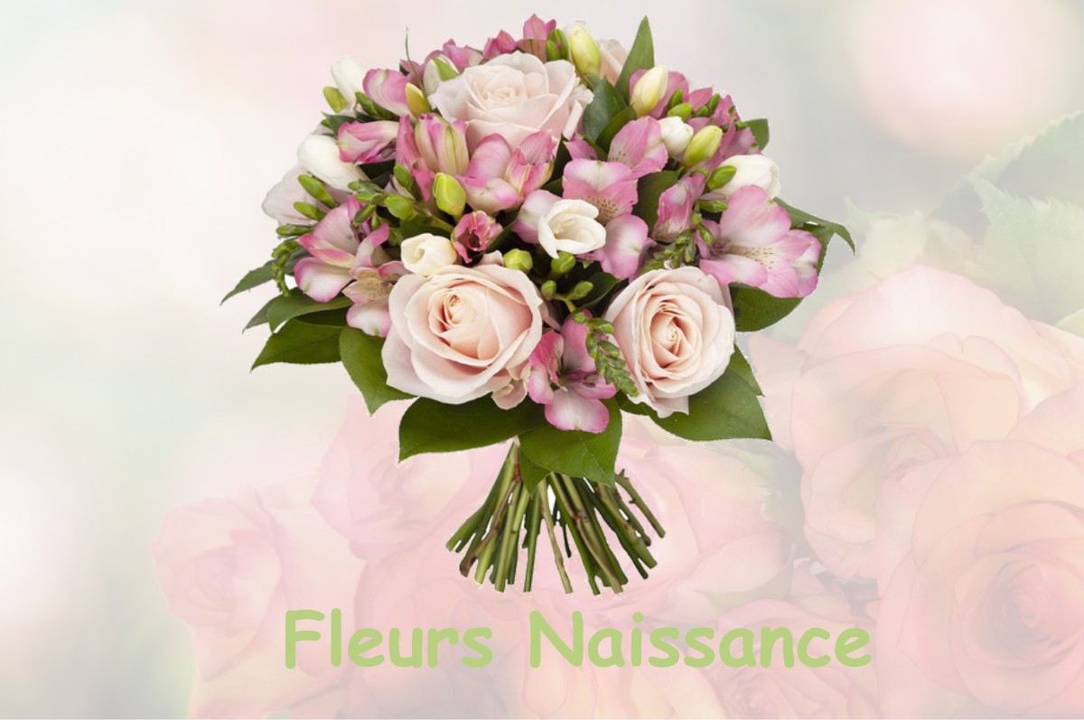 fleurs naissance ANSAC-SUR-VIENNE